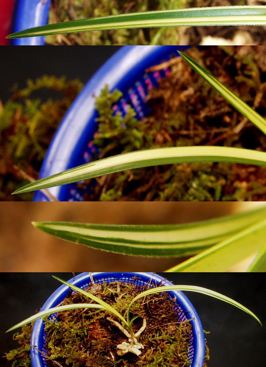 ������ ū������ �� �� �ֽ��ϴ�.