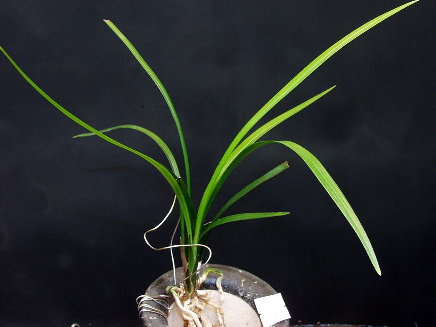 ������ ū������ �� �� �ֽ��ϴ�.