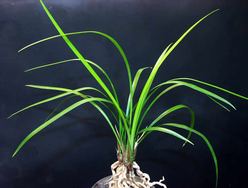 ������ ū������ �� �� �ֽ��ϴ�.