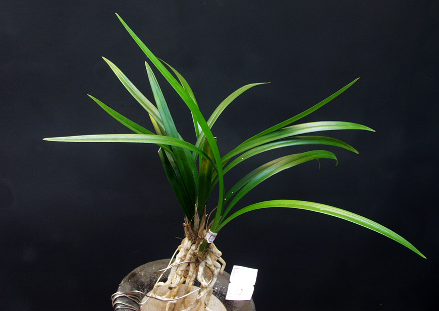 ������ ū������ �� �� �ֽ��ϴ�.