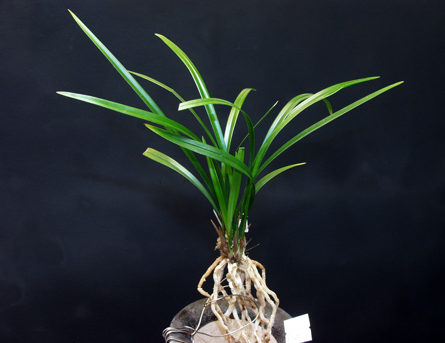 ������ ū������ �� �� �ֽ��ϴ�.