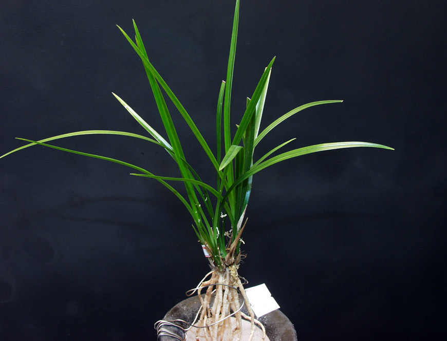 ������ ū������ �� �� �ֽ��ϴ�.