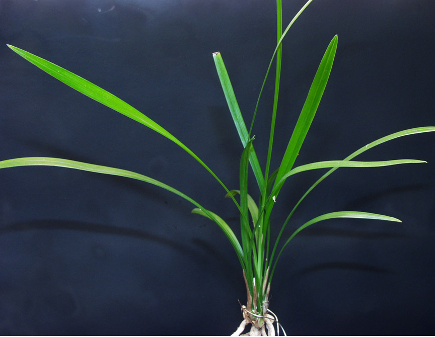 ������ ū������ �� �� �ֽ��ϴ�.