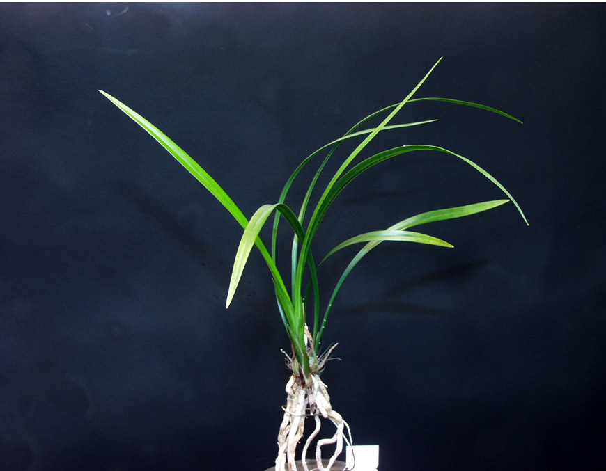 ������ ū������ �� �� �ֽ��ϴ�.