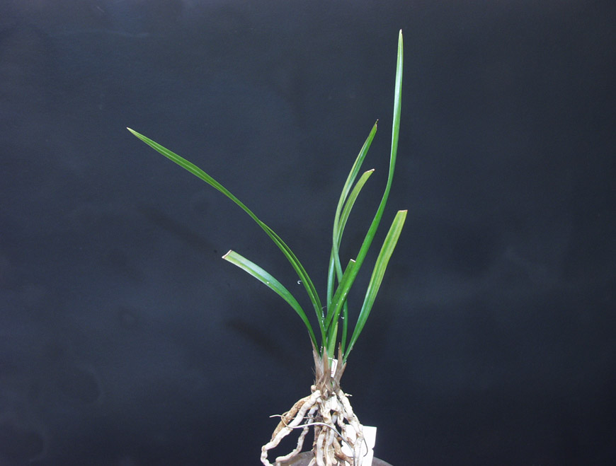 ������ ū������ �� �� �ֽ��ϴ�.