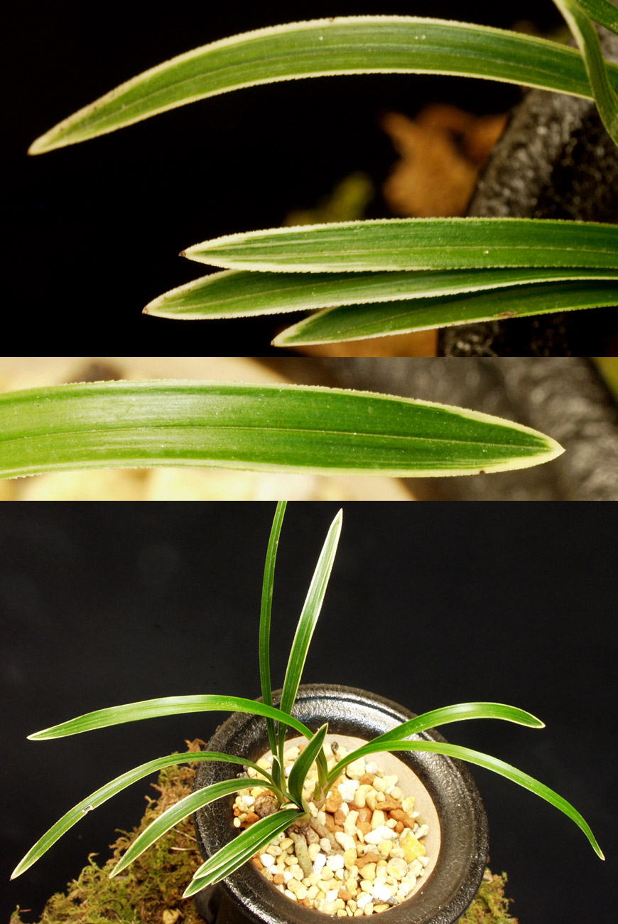 ������ ū������ �� �� �ֽ��ϴ�.