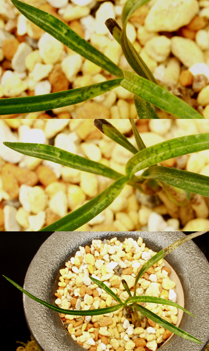 ������ ū������ �� �� �ֽ��ϴ�.