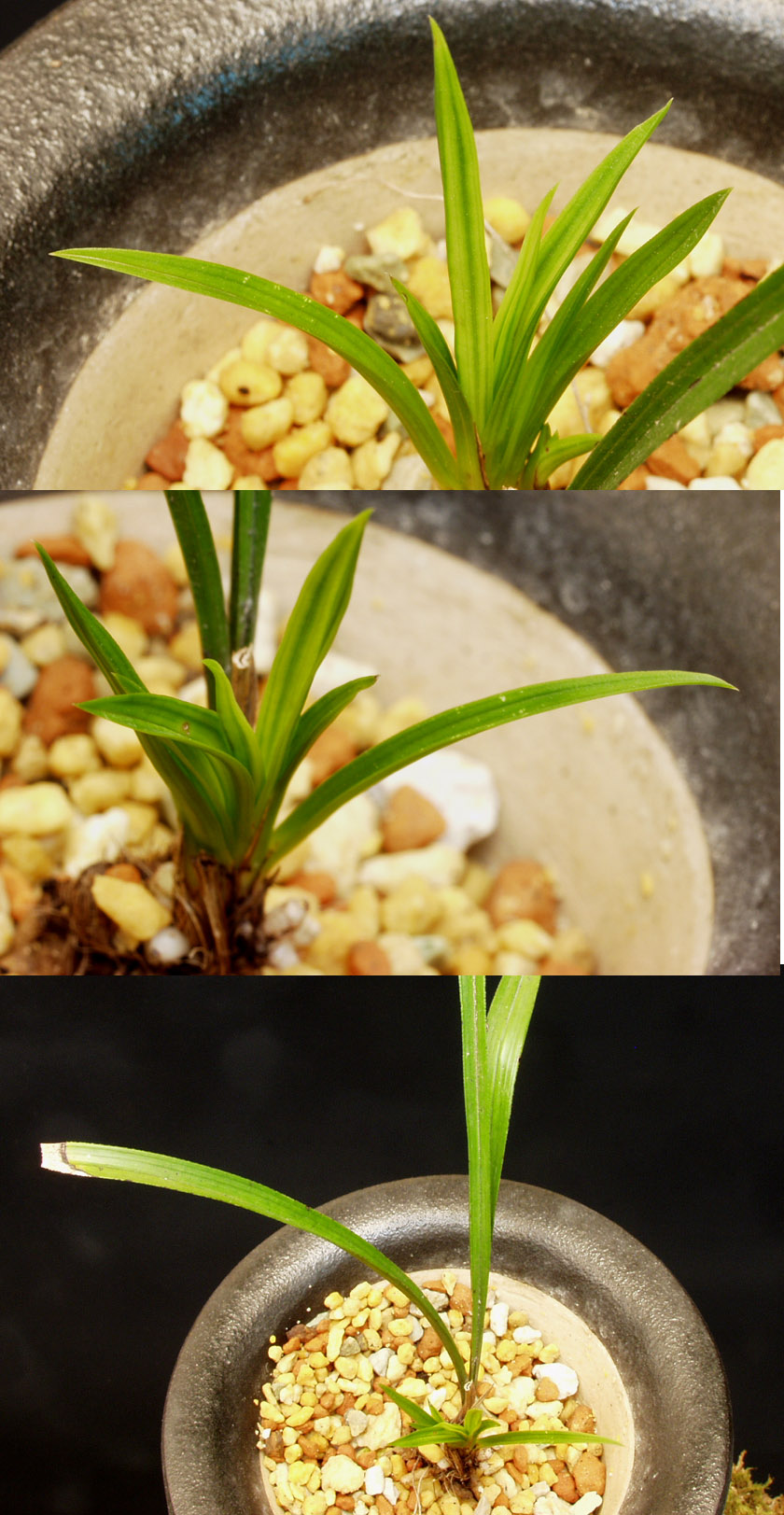 ������ ū������ �� �� �ֽ��ϴ�.