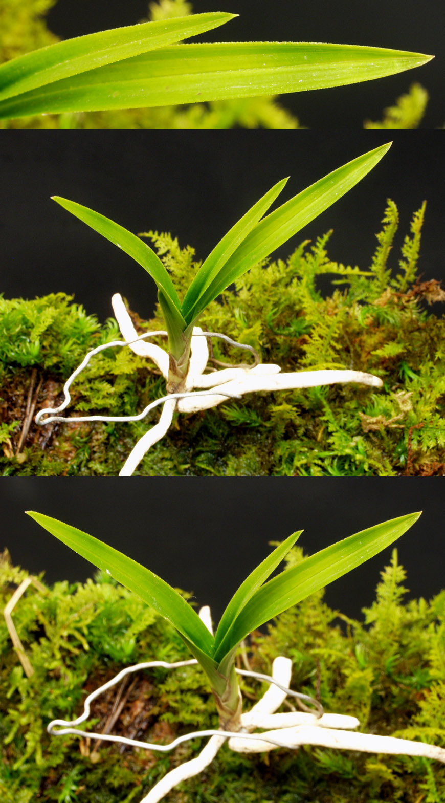 ������ ū������ �� �� �ֽ��ϴ�.