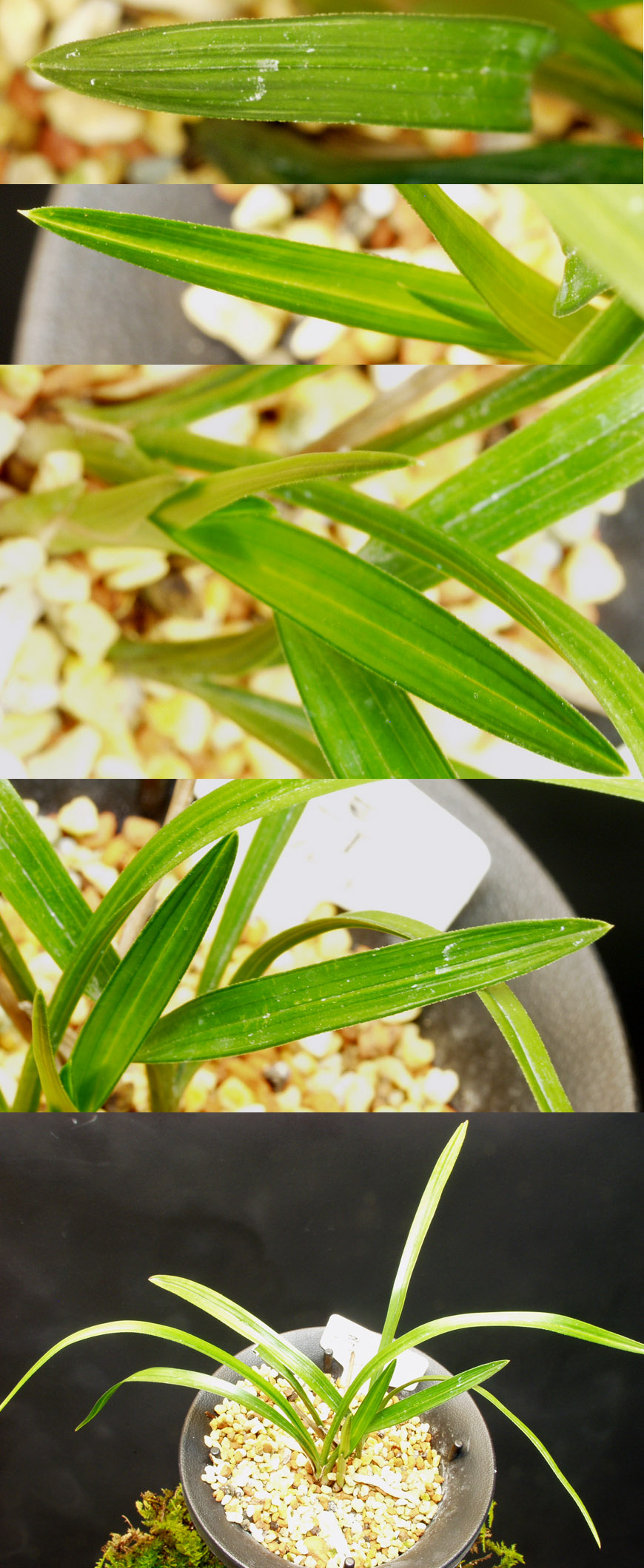 ������ ū������ �� �� �ֽ��ϴ�.