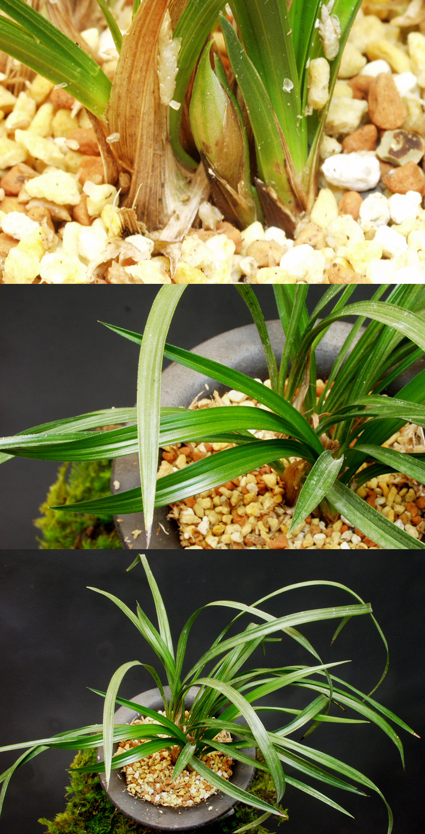 ������ ū������ �� �� �ֽ��ϴ�.