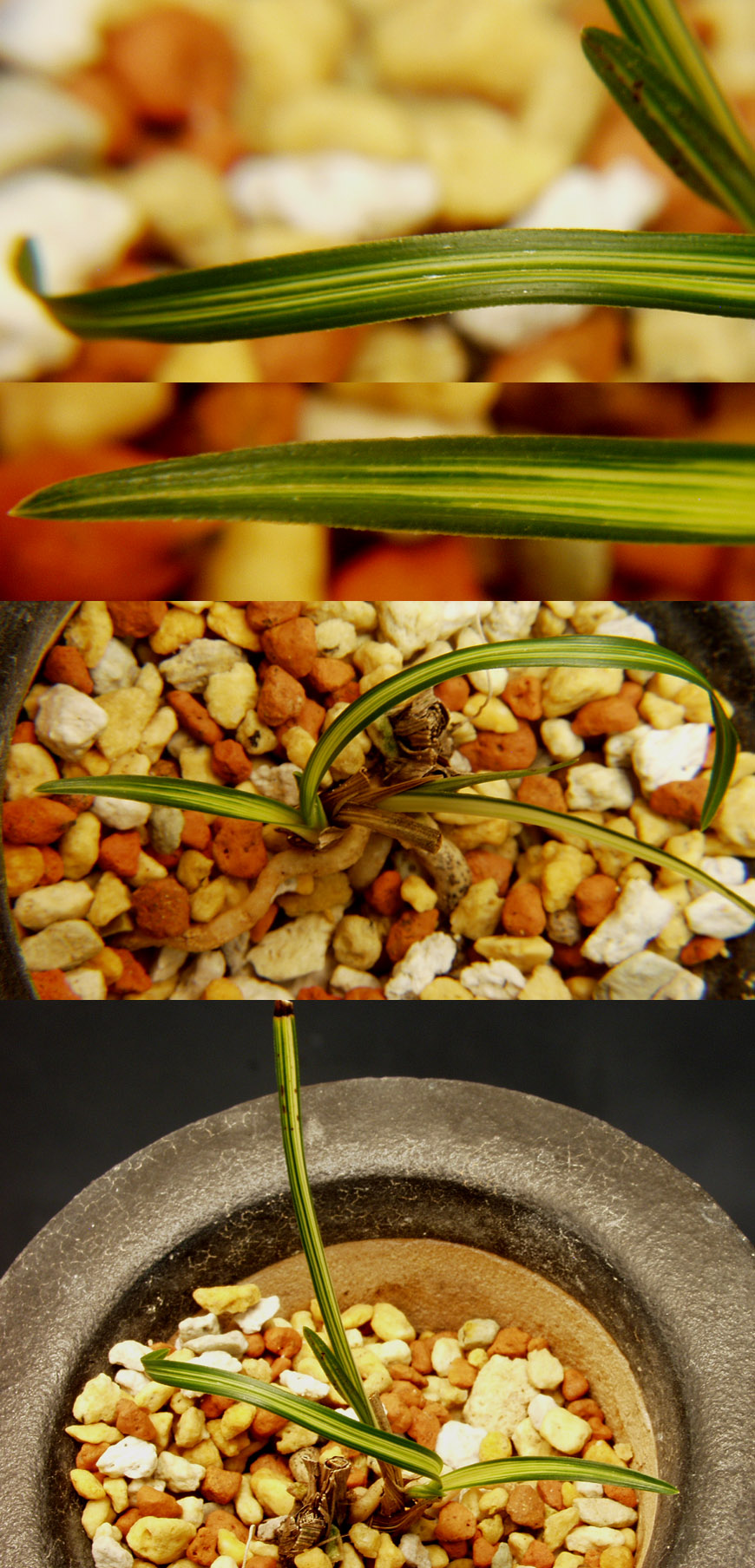 ������ ū������ �� �� �ֽ��ϴ�.