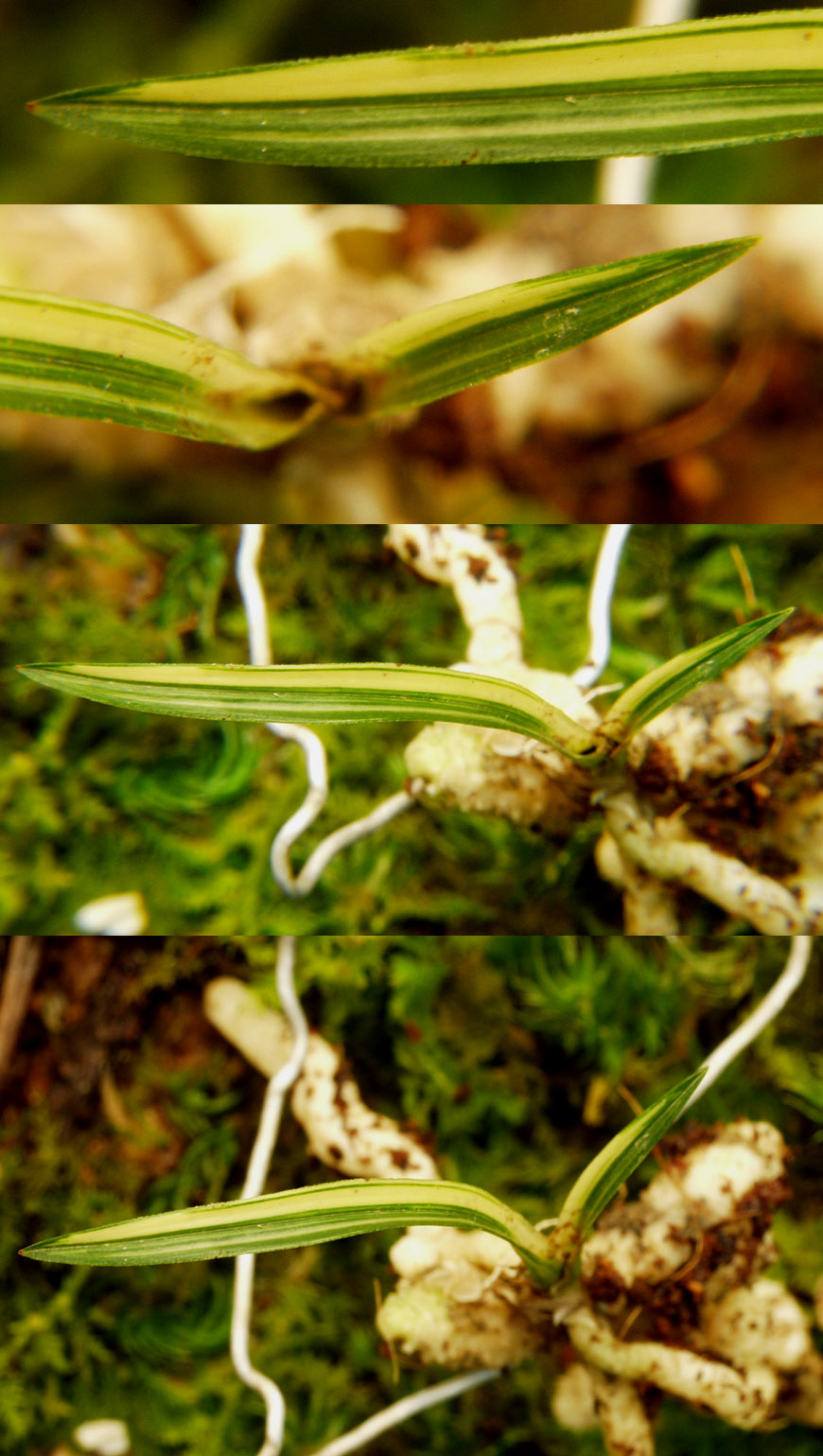 ������ ū������ �� �� �ֽ��ϴ�.