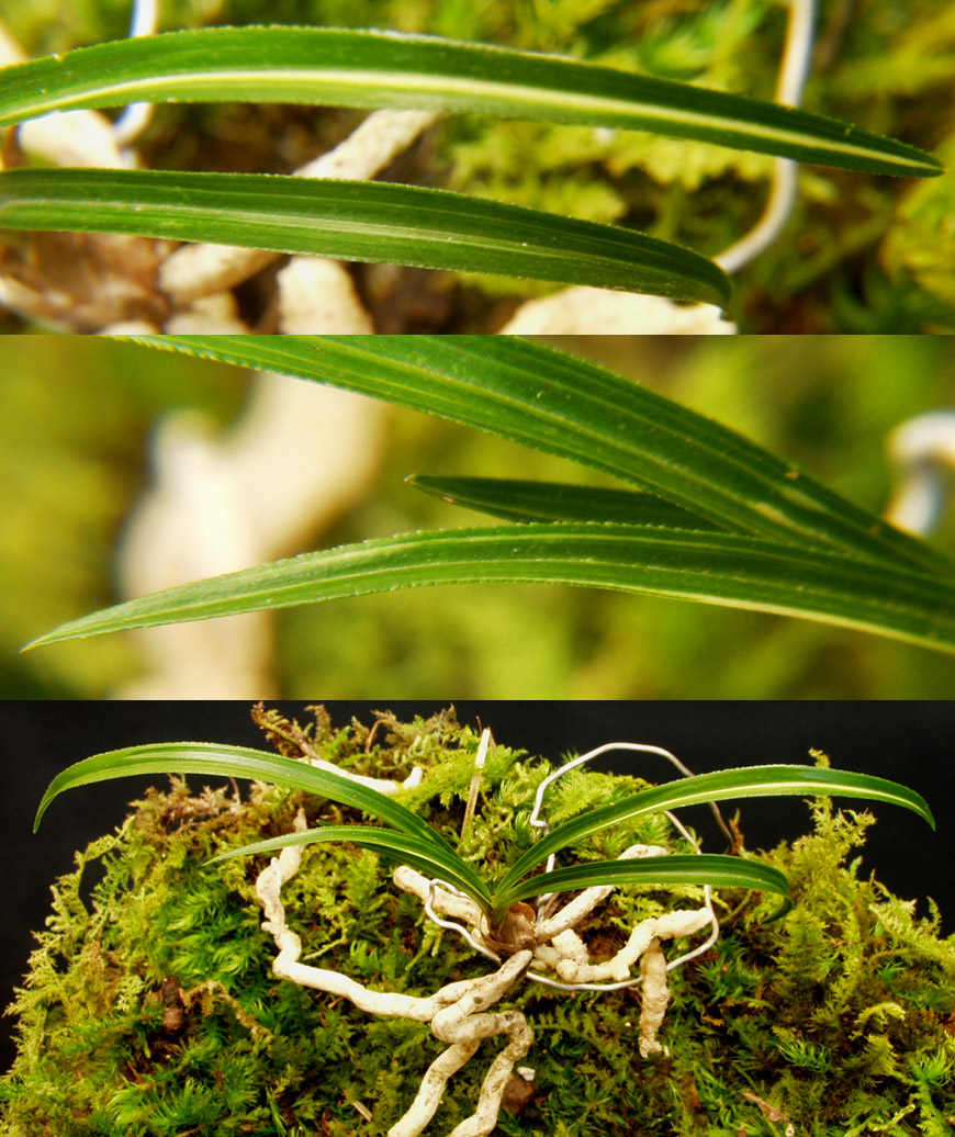 ������ ū������ �� �� �ֽ��ϴ�.