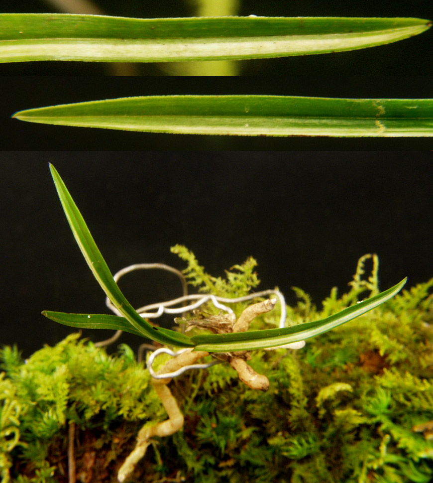 ������ ū������ �� �� �ֽ��ϴ�.