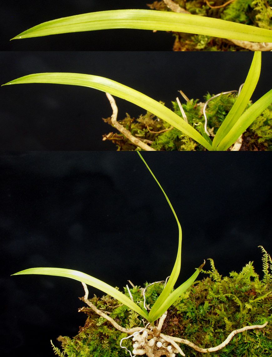 ������ ū������ �� �� �ֽ��ϴ�.