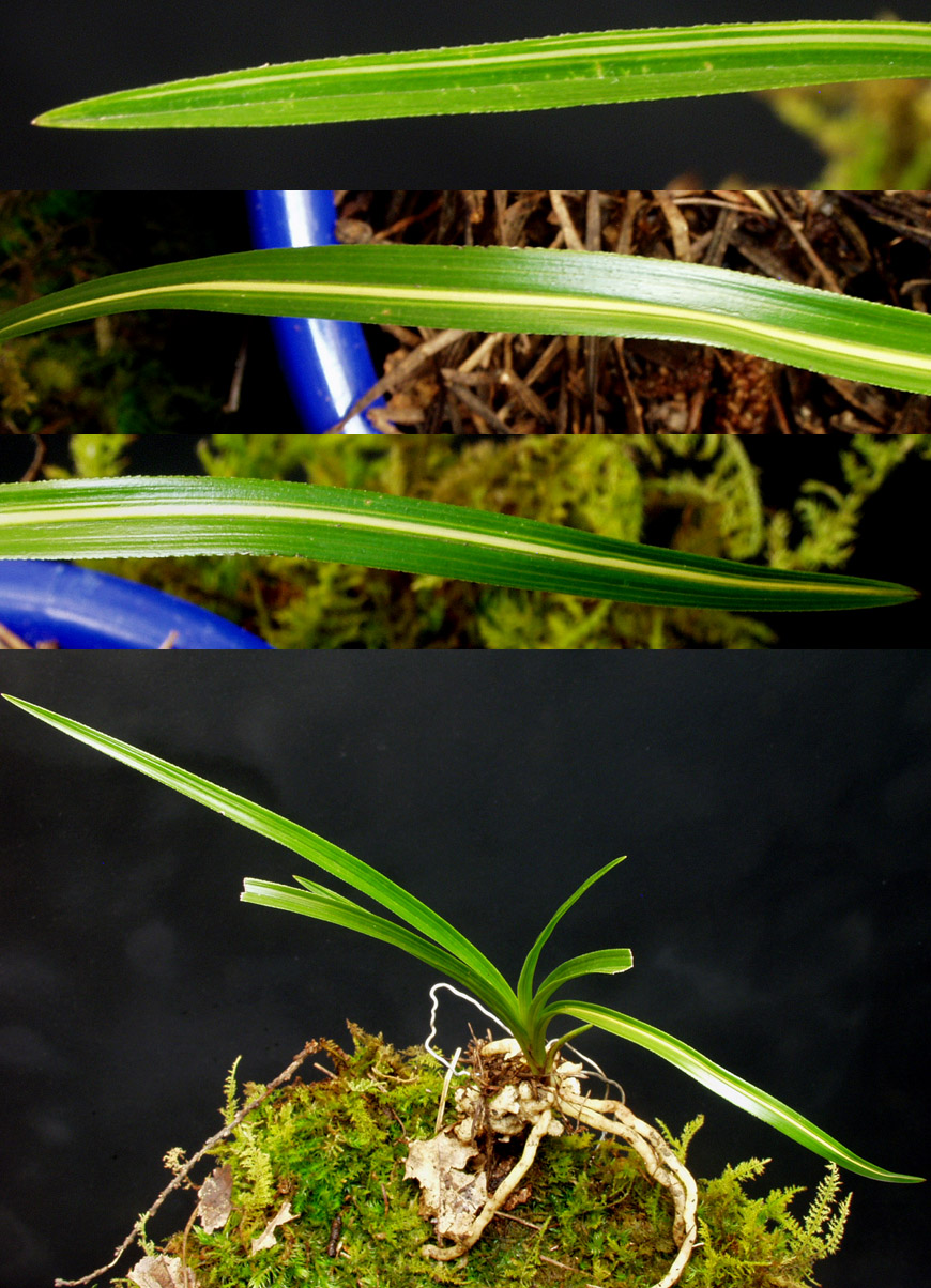 ������ ū������ �� �� �ֽ��ϴ�.