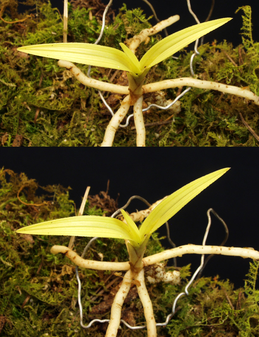 ������ ū������ �� �� �ֽ��ϴ�.