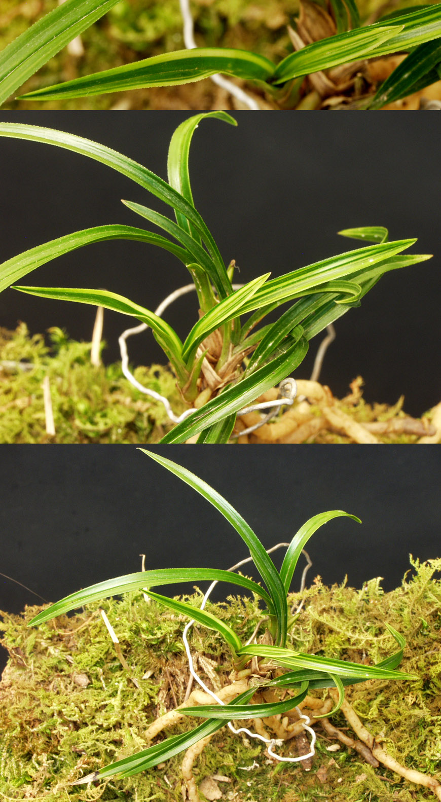 ������ ū������ �� �� �ֽ��ϴ�.