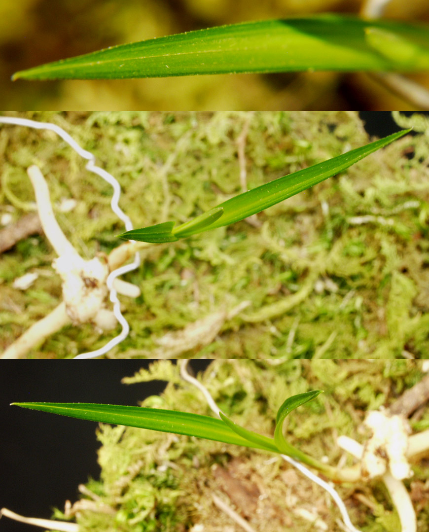 ������ ū������ �� �� �ֽ��ϴ�.