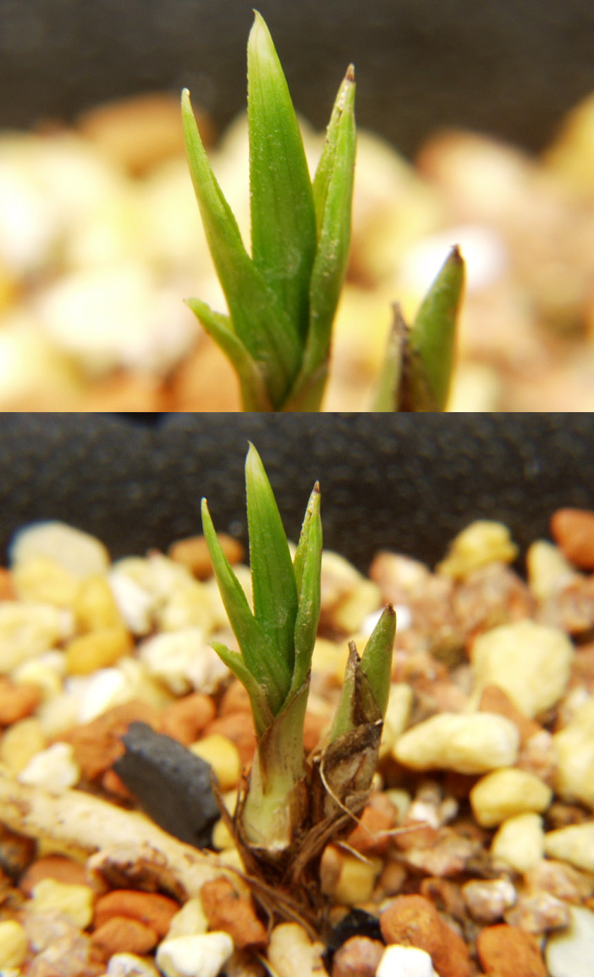 ������ ū������ �� �� �ֽ��ϴ�.