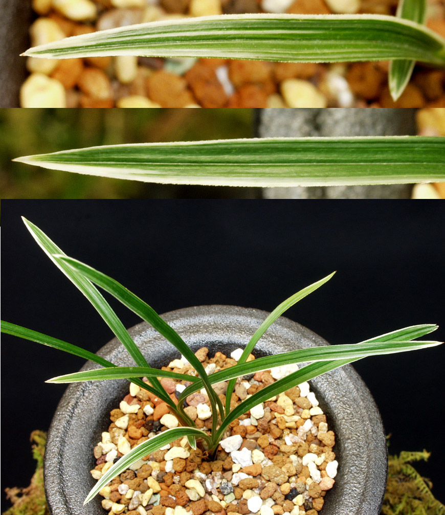 ������ ū������ �� �� �ֽ��ϴ�.