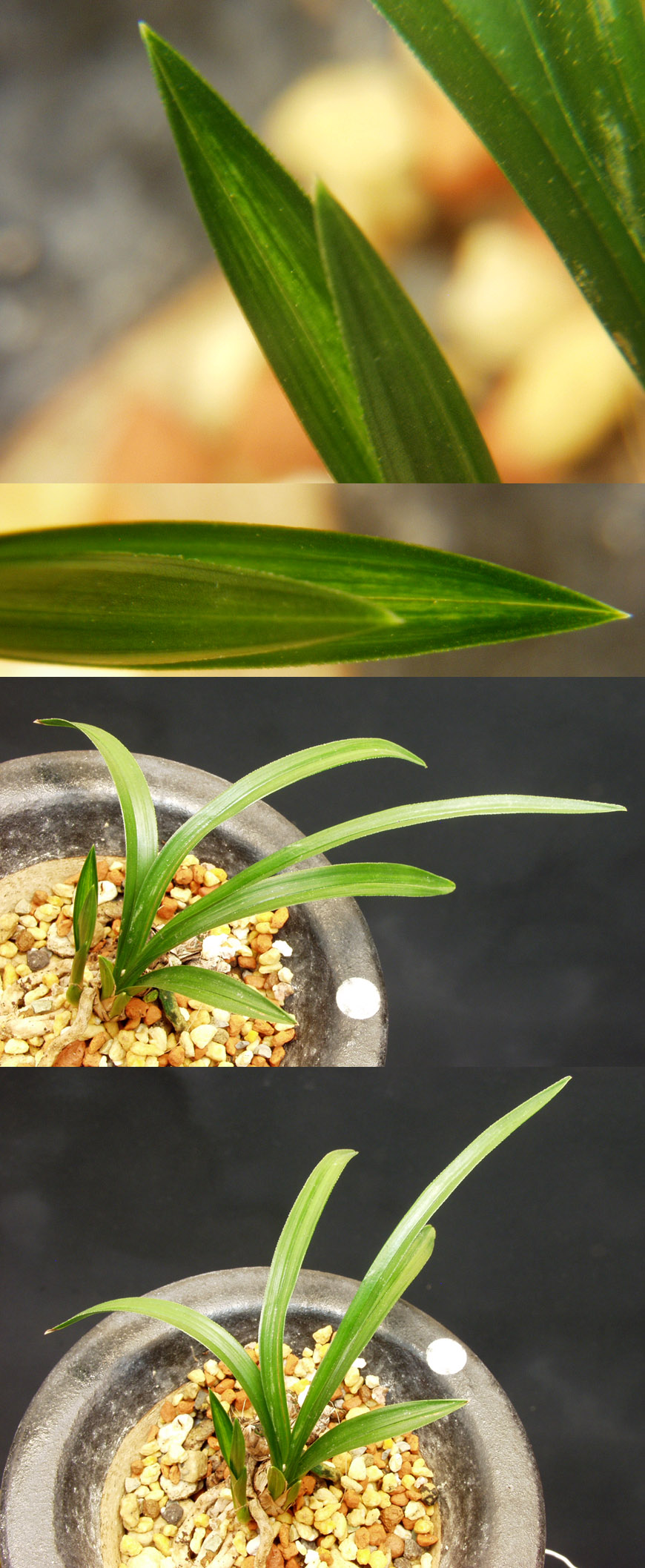 ������ ū������ �� �� �ֽ��ϴ�.