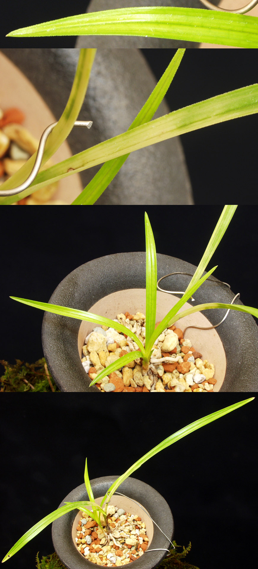 ������ ū������ �� �� �ֽ��ϴ�.