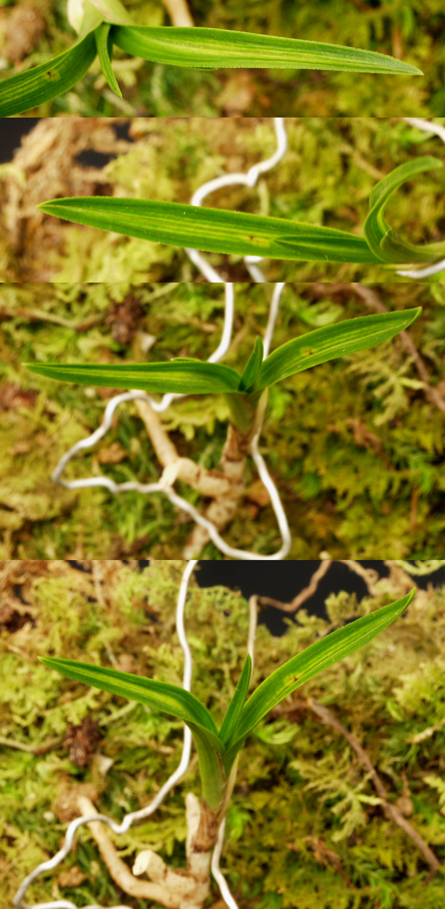 ������ ū������ �� �� �ֽ��ϴ�.