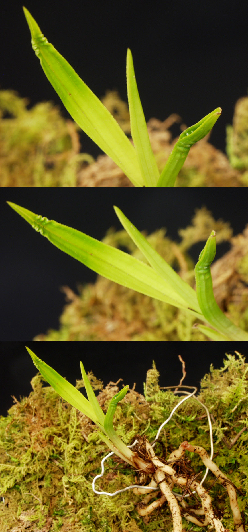 ������ ū������ �� �� �ֽ��ϴ�.