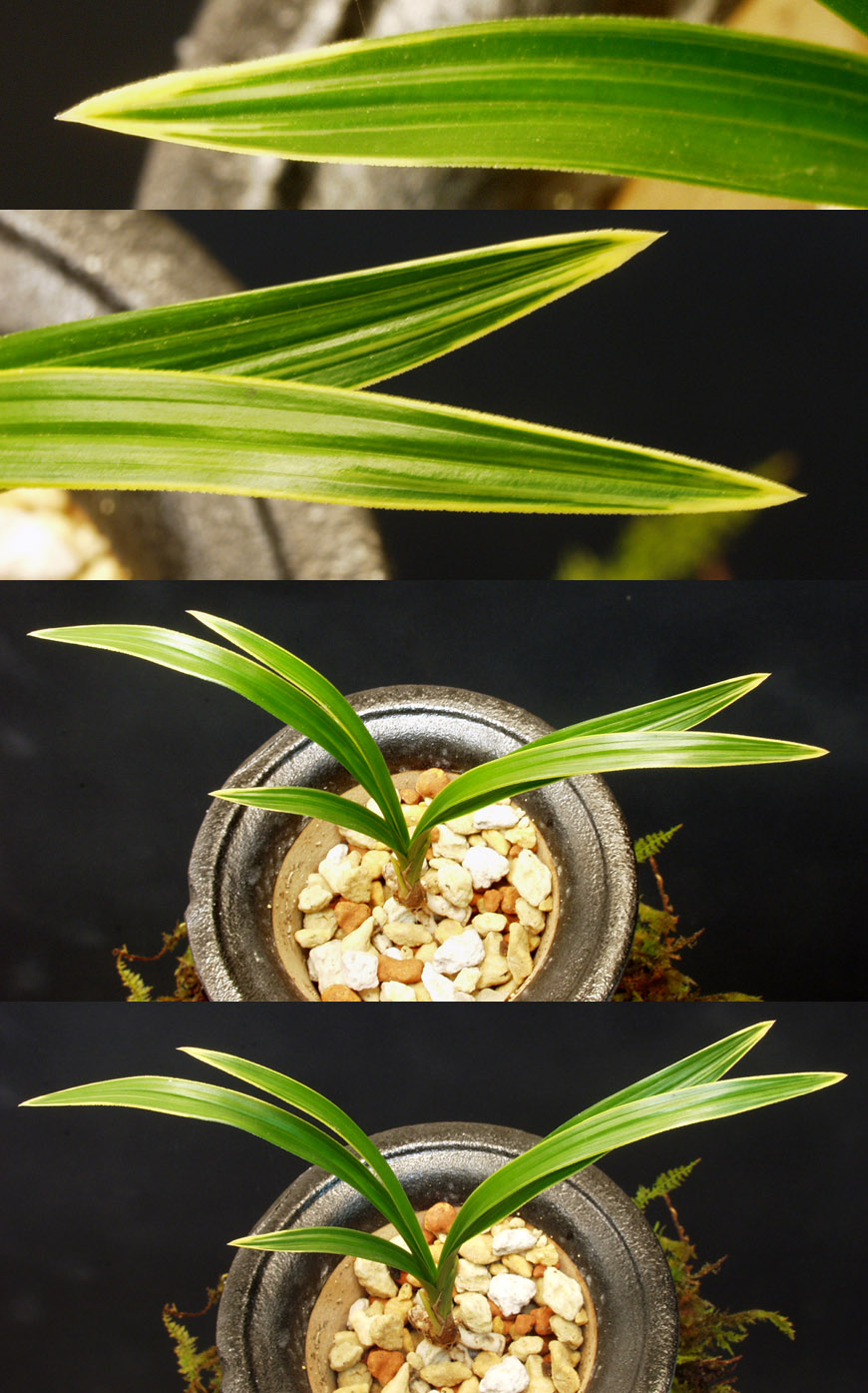 ������ ū������ �� �� �ֽ��ϴ�.