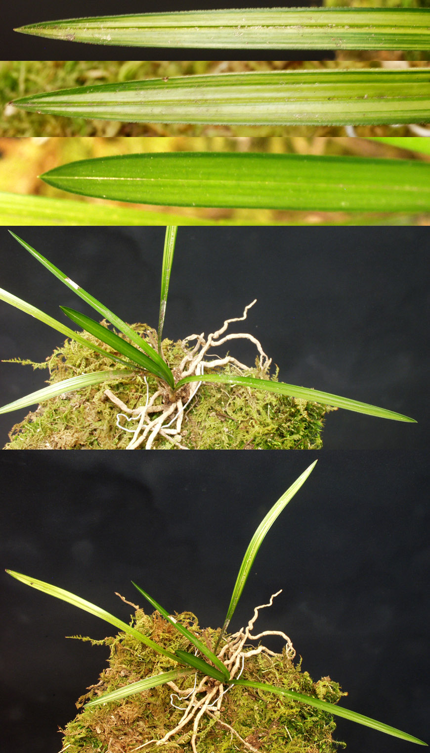 ������ ū������ �� �� �ֽ��ϴ�.