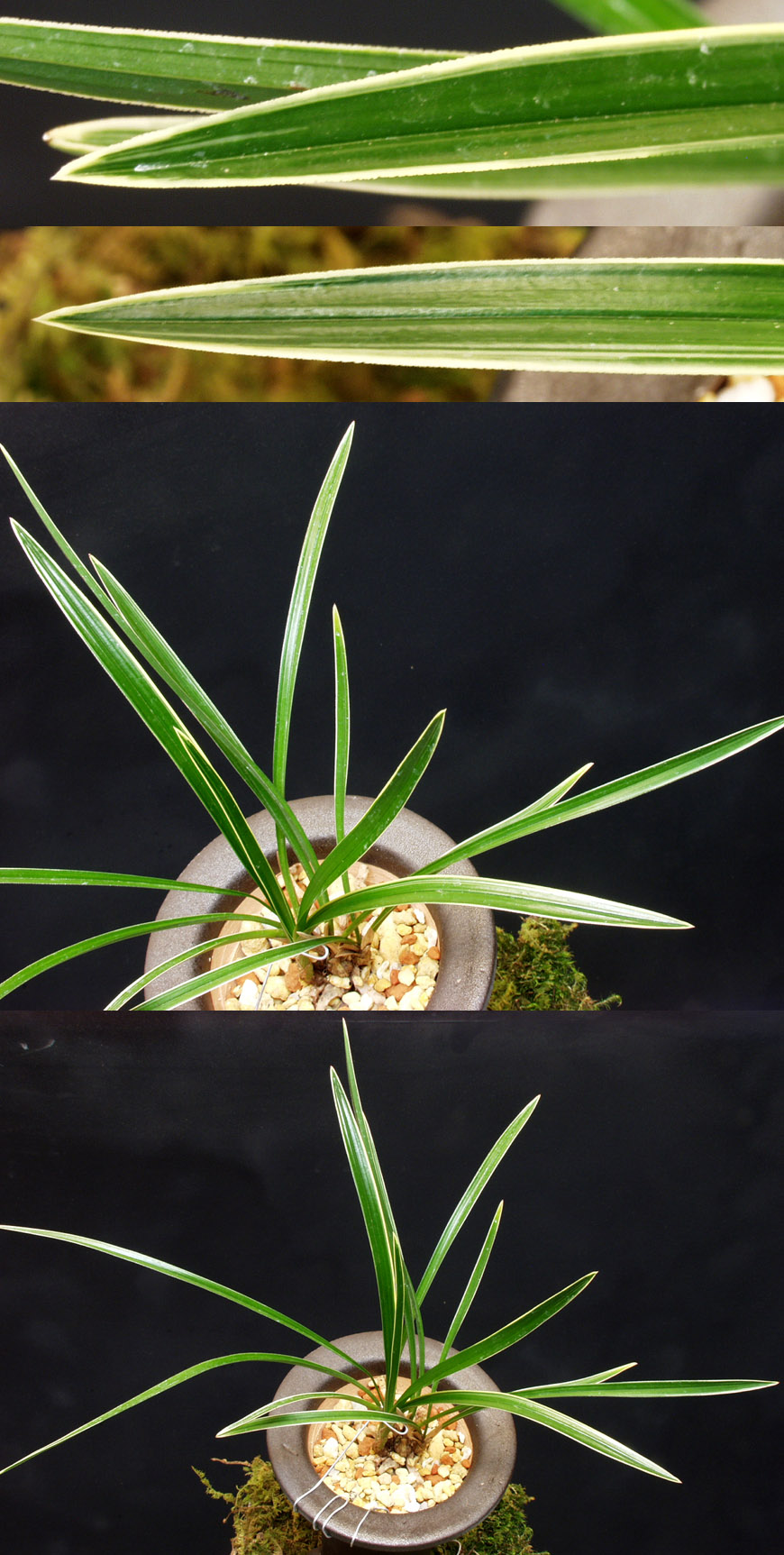 ������ ū������ �� �� �ֽ��ϴ�.