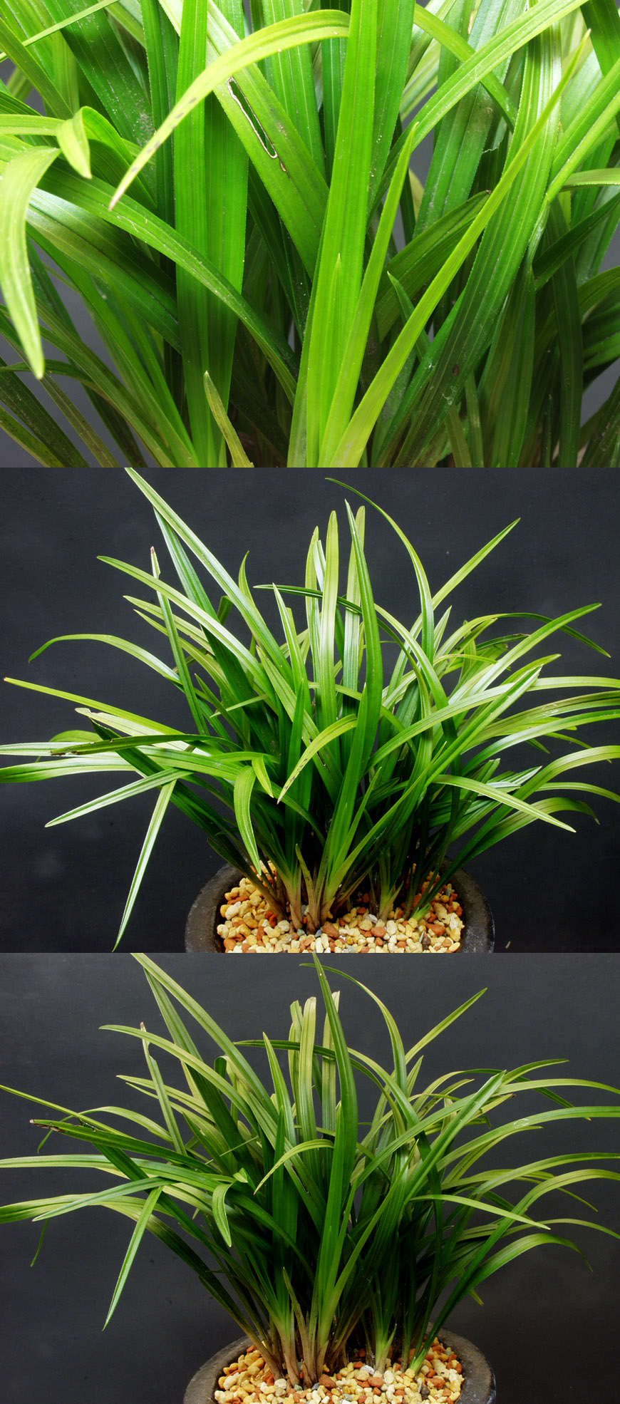 ������ ū������ �� �� �ֽ��ϴ�.