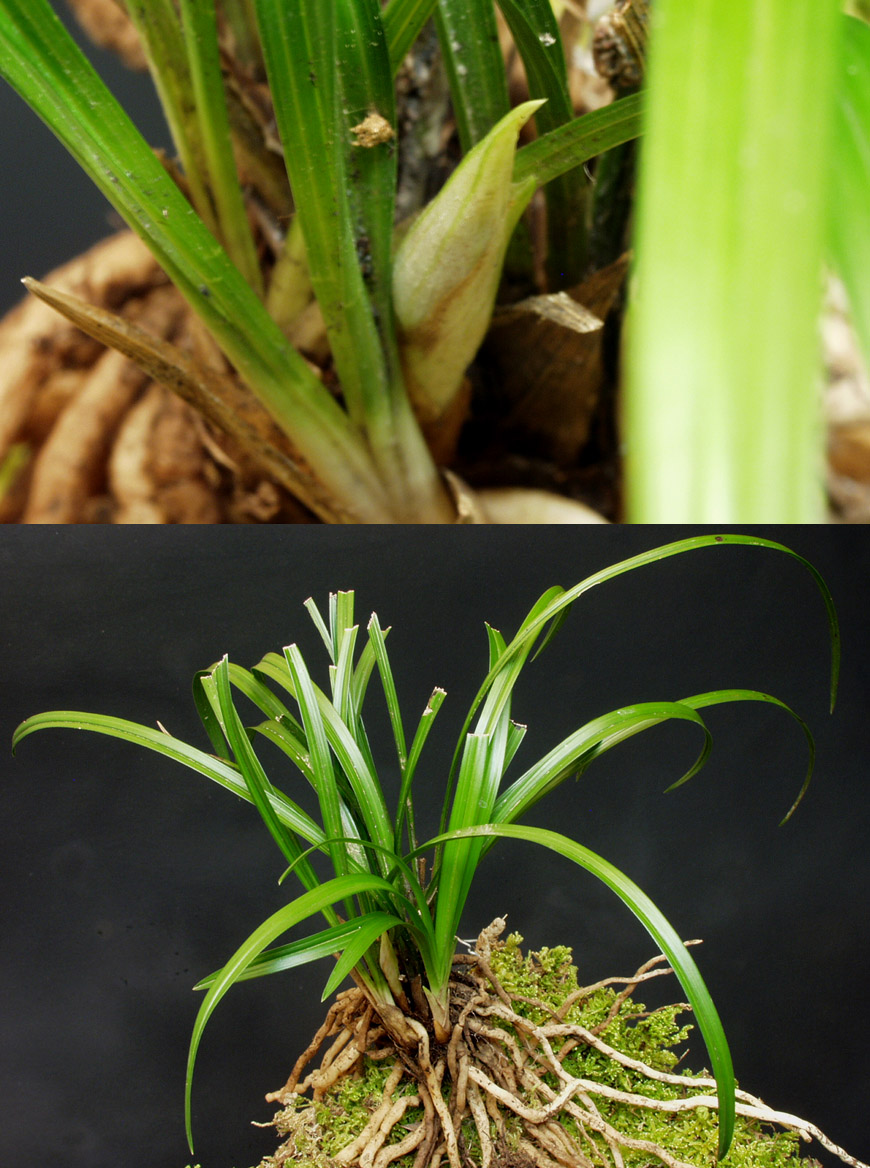 ������ ū������ �� �� �ֽ��ϴ�.