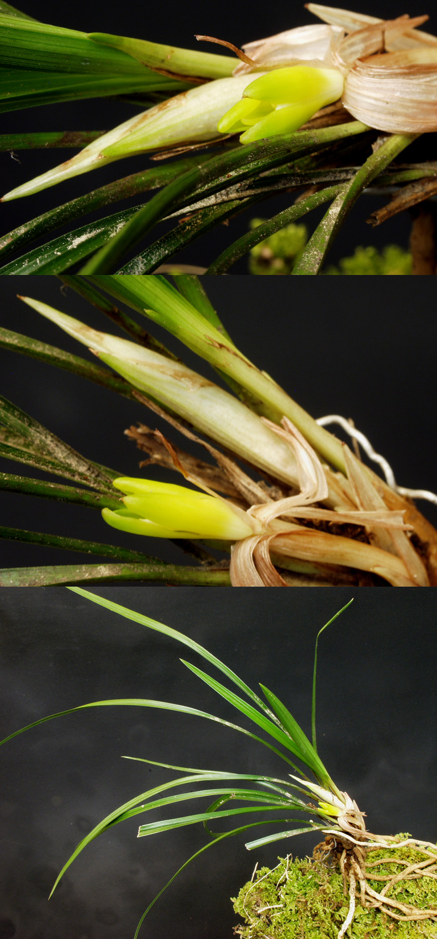 ������ ū������ �� �� �ֽ��ϴ�.