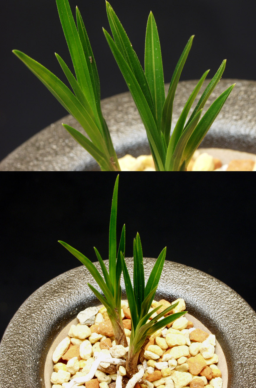 ������ ū������ �� �� �ֽ��ϴ�.