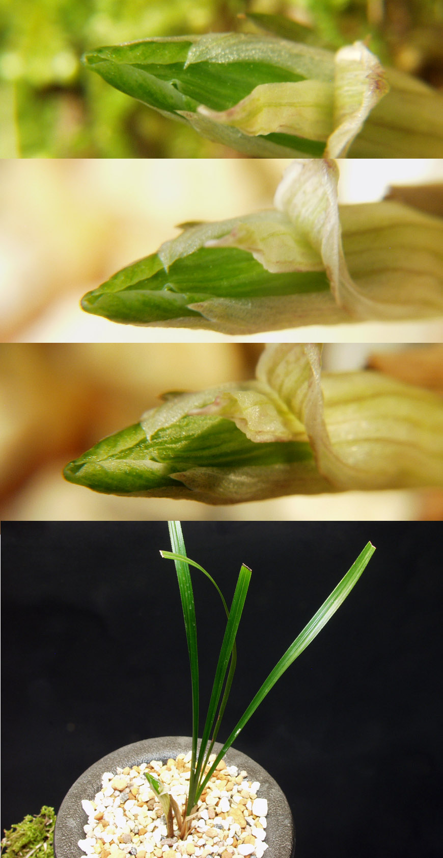 ������ ū������ �� �� �ֽ��ϴ�.