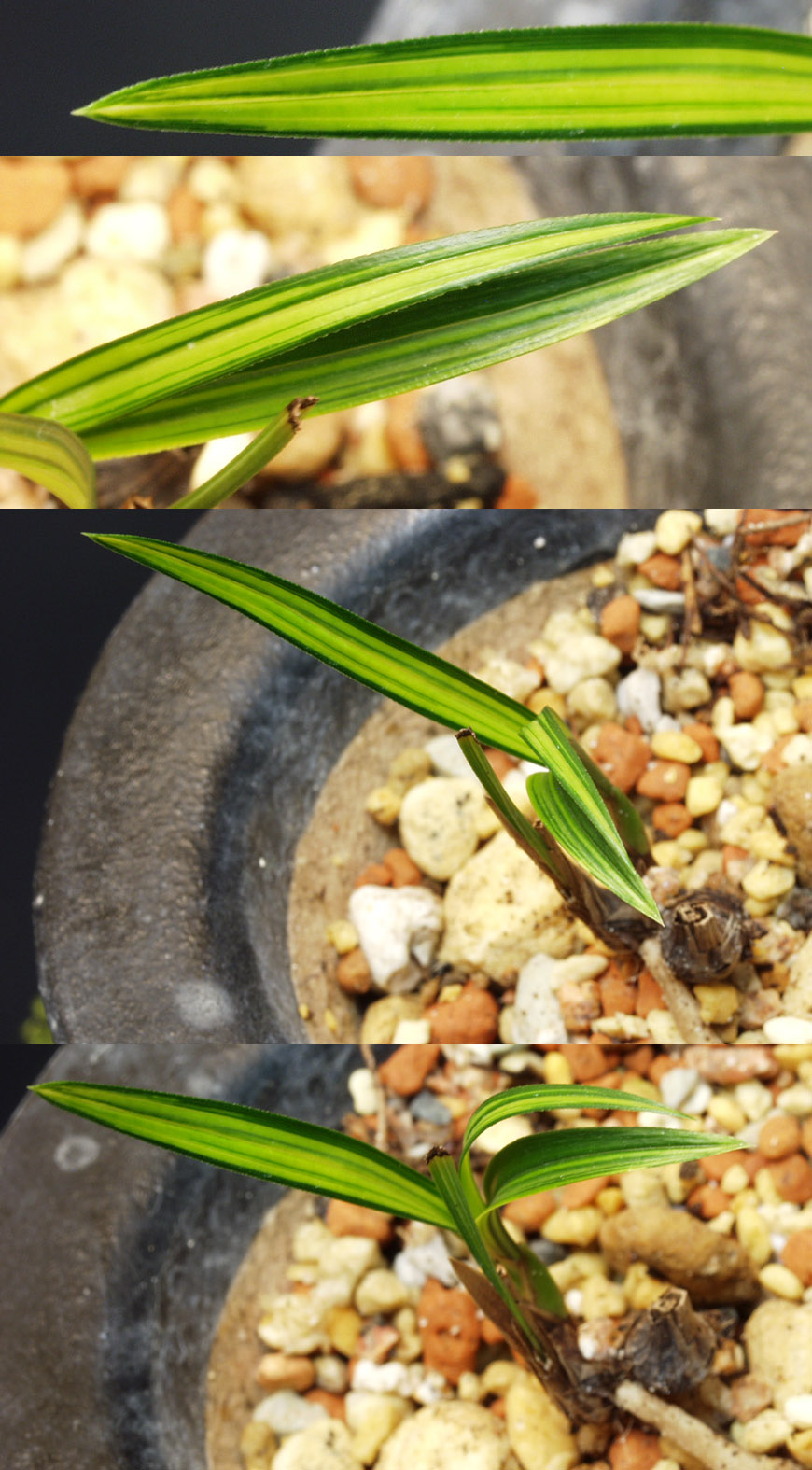 ������ ū������ �� �� �ֽ��ϴ�.