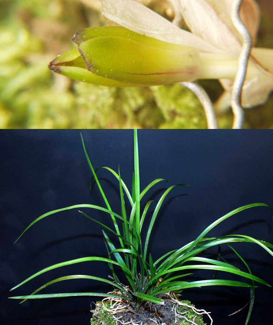 ������ ū������ �� �� �ֽ��ϴ�.