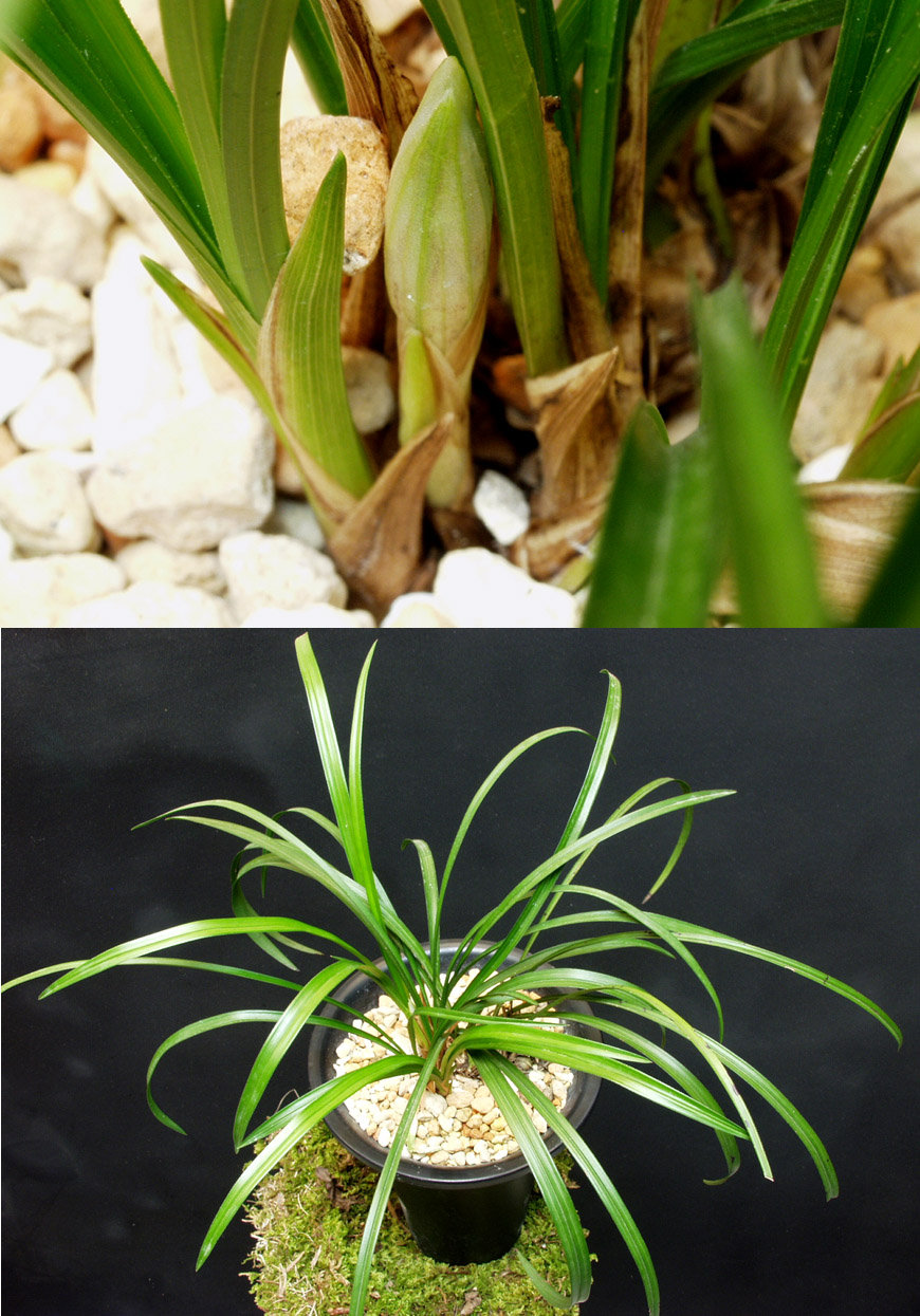 ������ ū������ �� �� �ֽ��ϴ�.