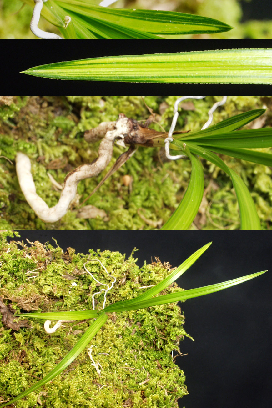 ������ ū������ �� �� �ֽ��ϴ�.