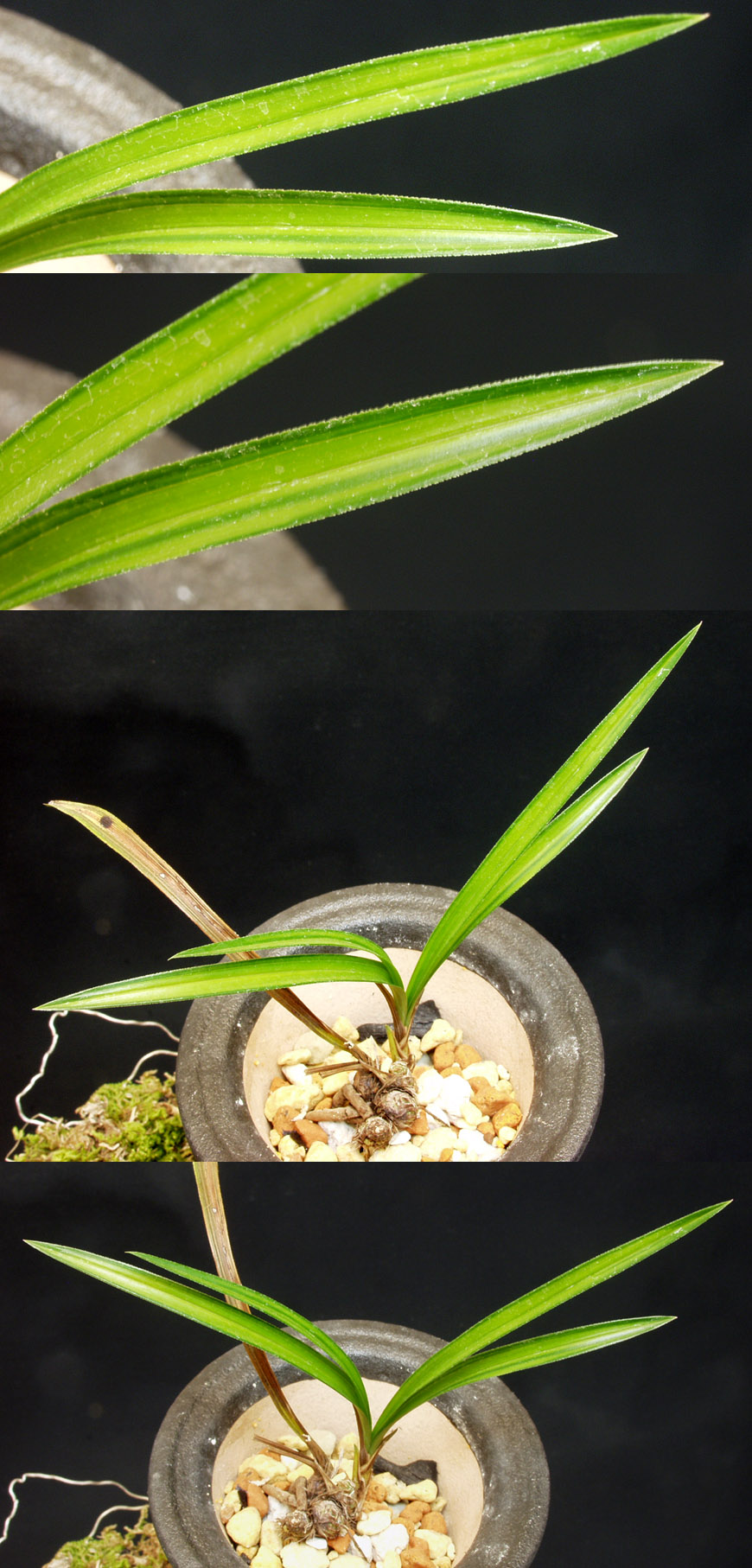 ������ ū������ �� �� �ֽ��ϴ�.