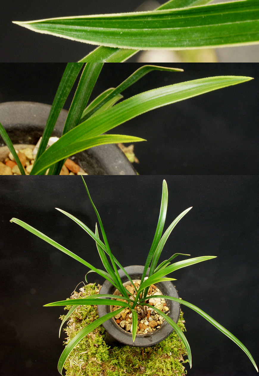 ������ ū������ �� �� �ֽ��ϴ�.