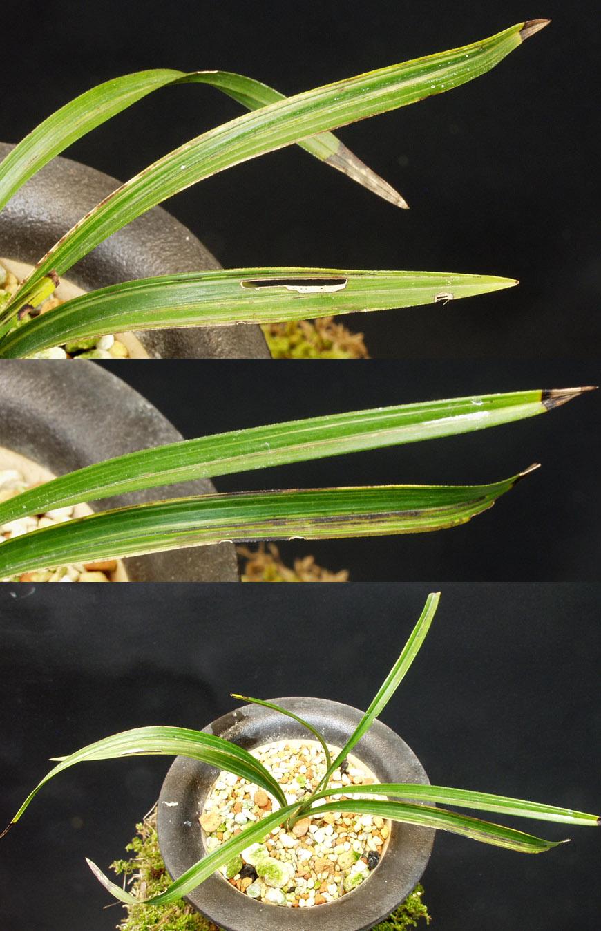 ������ ū������ �� �� �ֽ��ϴ�.