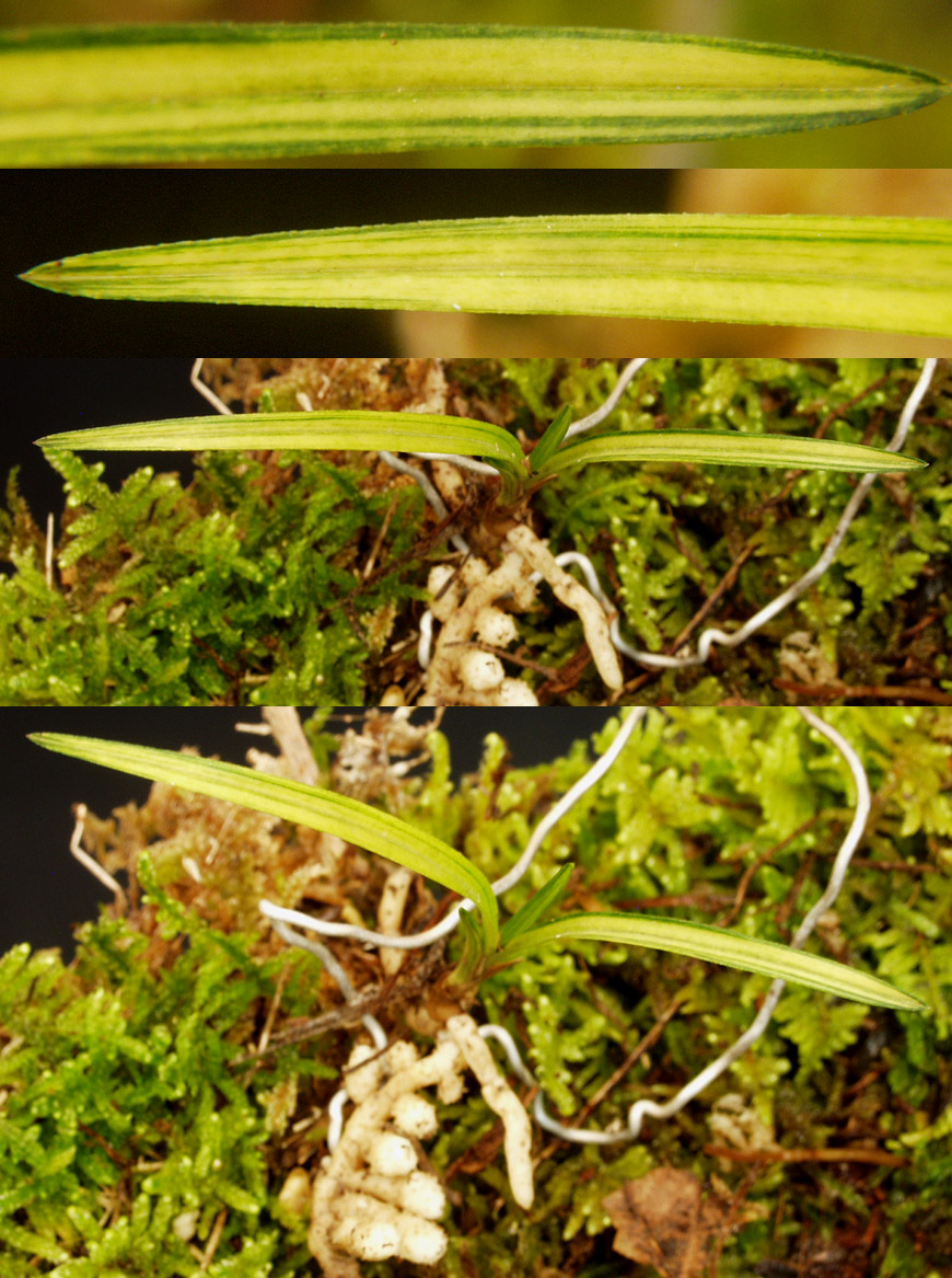 ������ ū������ �� �� �ֽ��ϴ�.