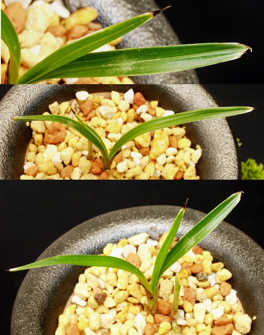 ������ ū������ �� �� �ֽ��ϴ�.