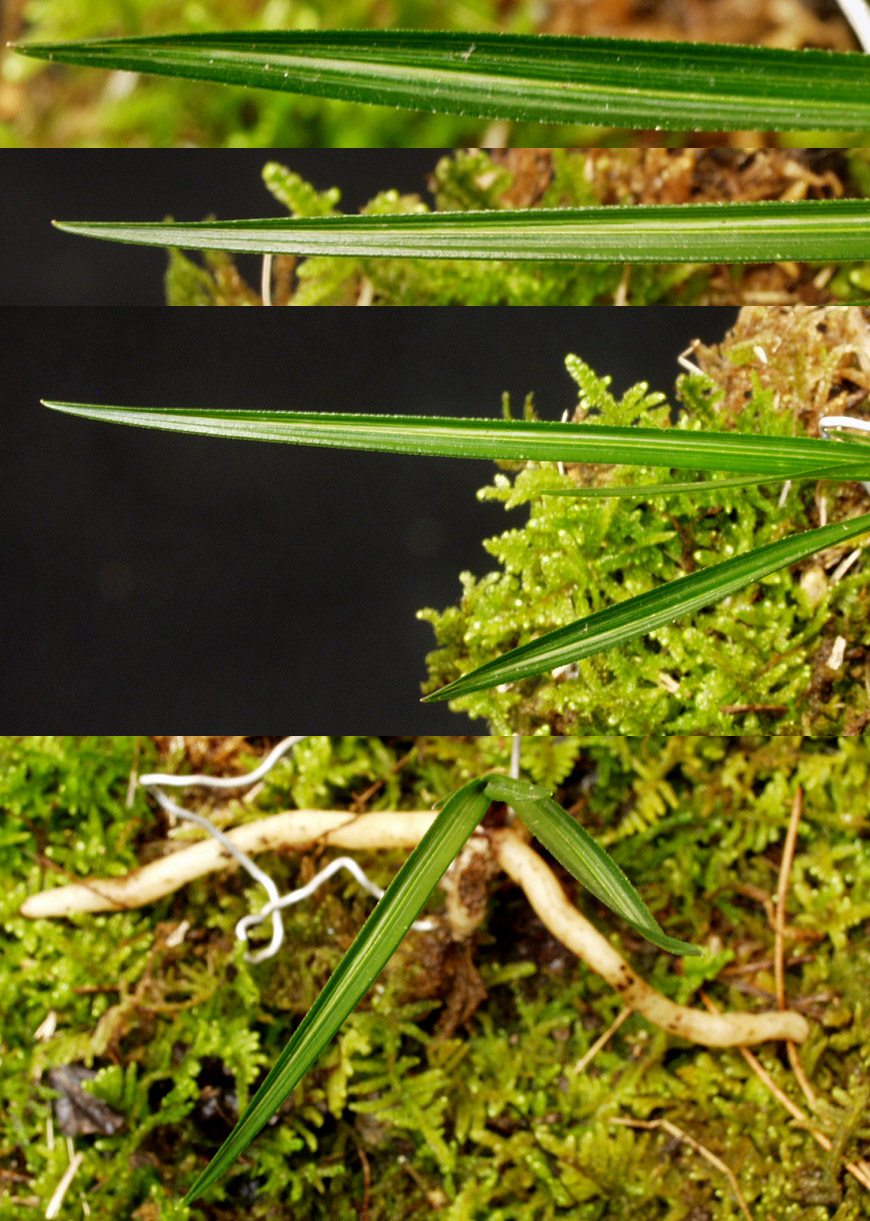 ������ ū������ �� �� �ֽ��ϴ�.