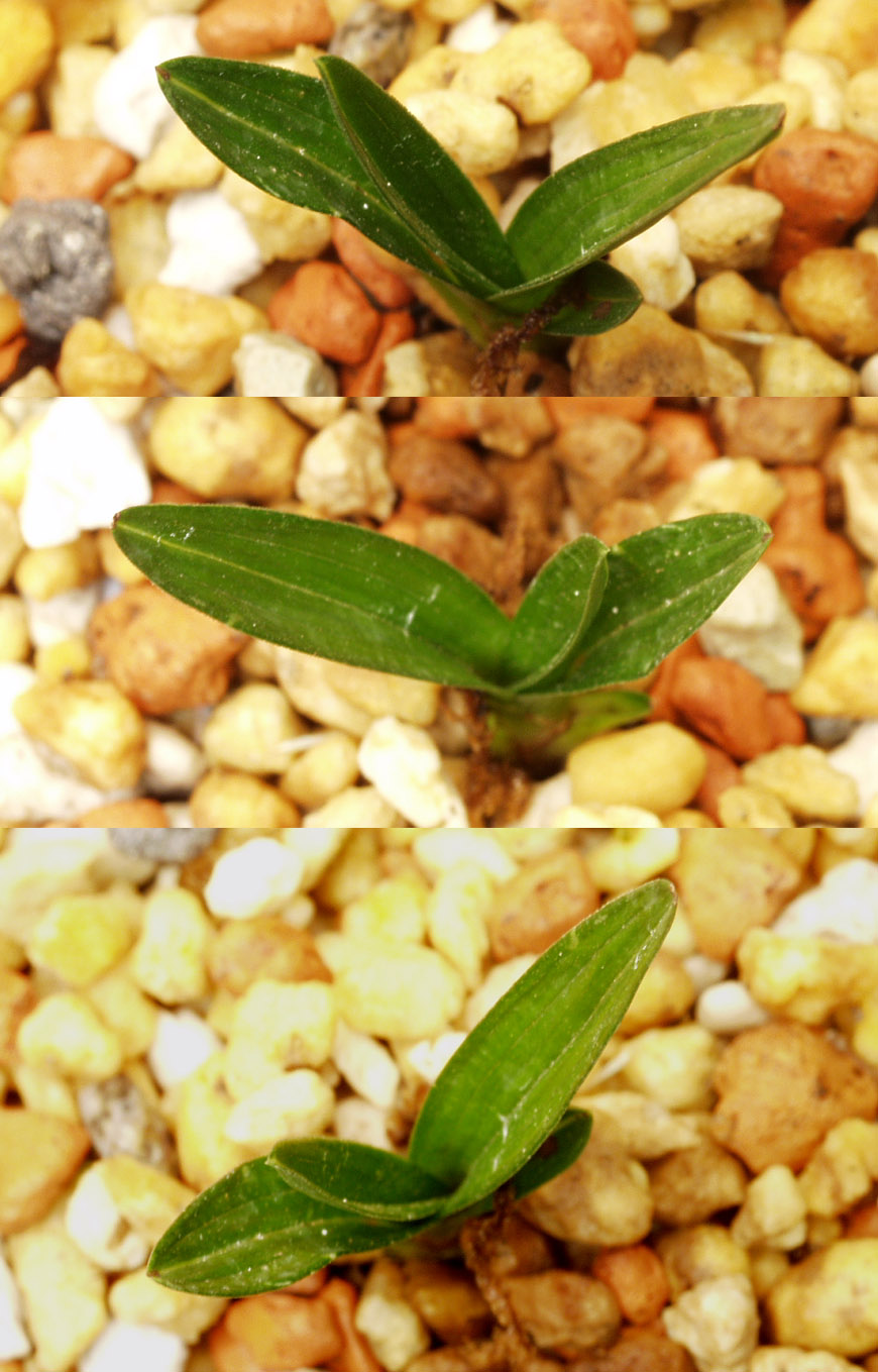 ������ ū������ �� �� �ֽ��ϴ�.