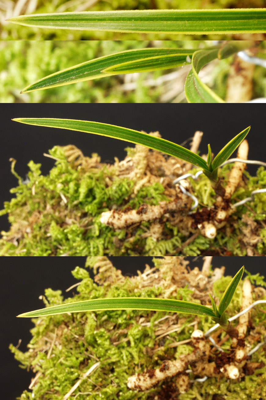 ������ ū������ �� �� �ֽ��ϴ�.